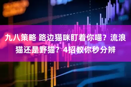 九八策略 路边猫咪盯着你喵？流浪猫还是野猫？4招教你秒分辨